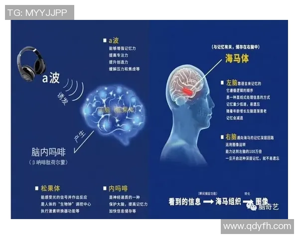 专访黄军：探寻足球成功背后的秘密与智慧