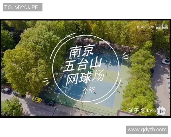 南京网球队的控制得失分析与未来发展展望